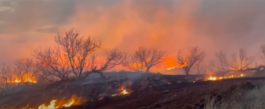 Battling-the-Blaze-How-Texas-Fire-Departments-Tackle-the-Smokehouse-Creek-Wildfire-1